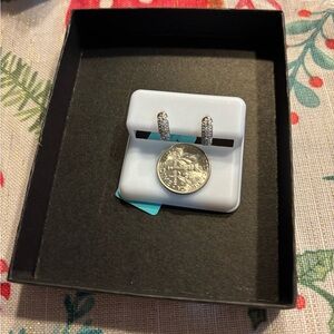 Silver Hoop Earrings with Moissonite